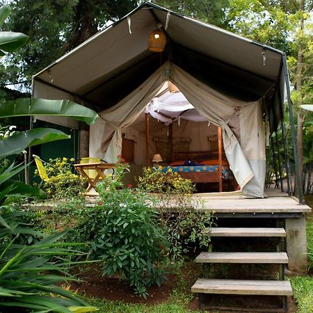 Bluemonkey Guesthouse เอนเทบเบ้ ภายนอก รูปภาพ