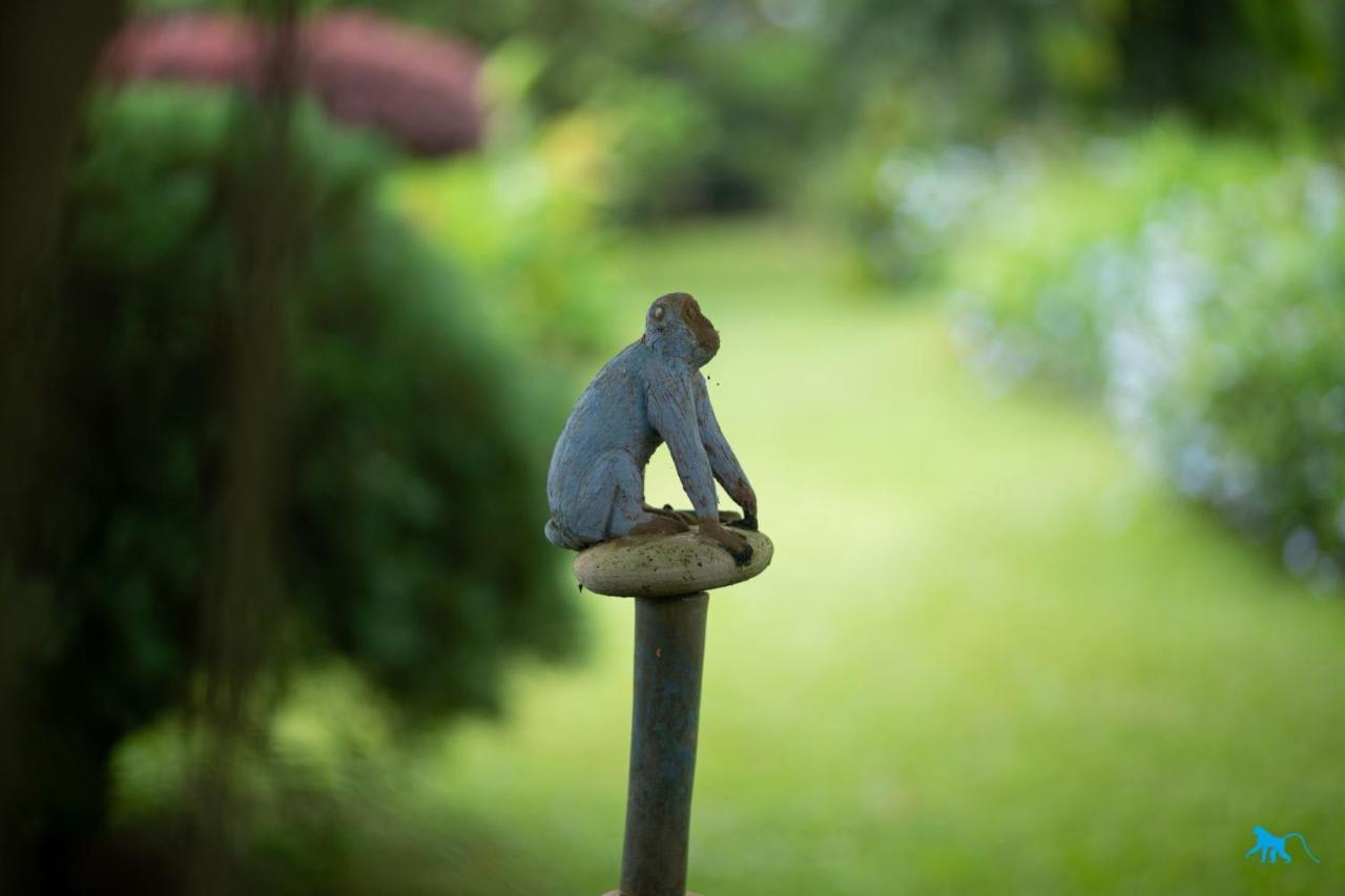 Bluemonkey Guesthouse เอนเทบเบ้ ภายนอก รูปภาพ