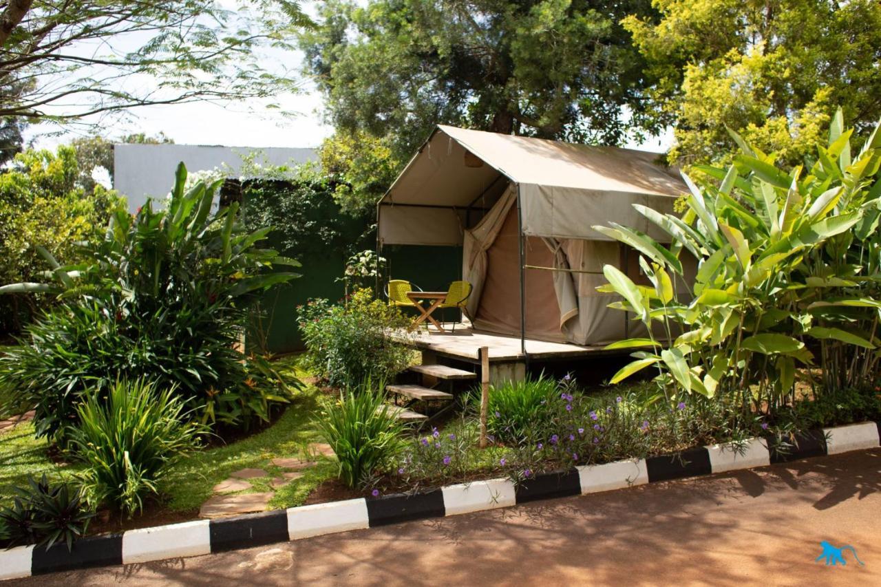 Bluemonkey Guesthouse เอนเทบเบ้ ภายนอก รูปภาพ
