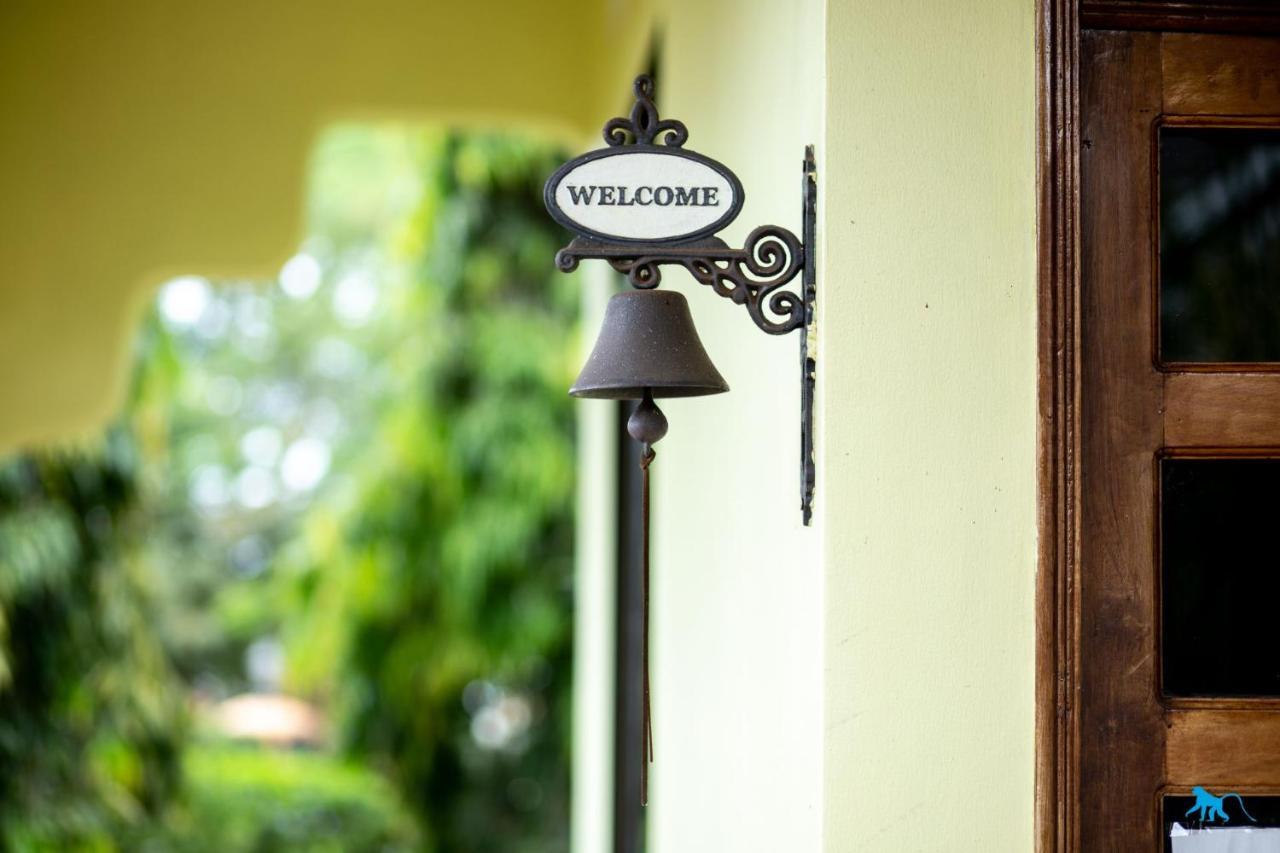 Bluemonkey Guesthouse เอนเทบเบ้ ภายนอก รูปภาพ