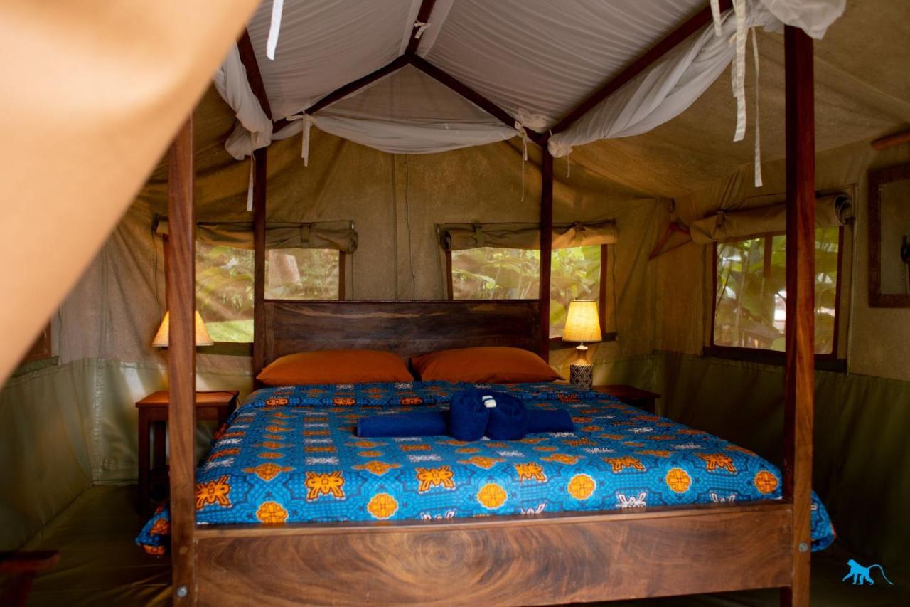 Bluemonkey Guesthouse เอนเทบเบ้ ภายนอก รูปภาพ