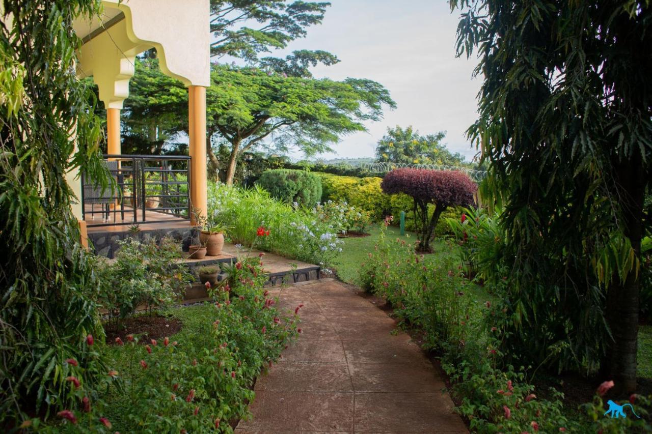 Bluemonkey Guesthouse เอนเทบเบ้ ภายนอก รูปภาพ